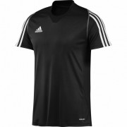 Adidas 10258 Футболка Adidas T12 CC SS TEE M (черная) фото